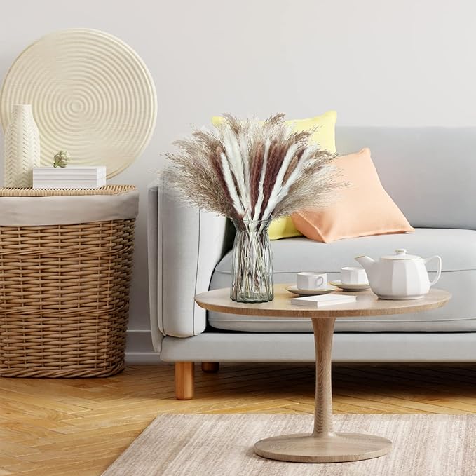 Treela 650 Pcs Dried Pampas Grass Decor Bulk 17" Dried Bunny Tail Fluffy Pompous Pampas Natural Reed Grass Bouquet Wedding Boho Dried Flowers for Home Table Party Decor(Classic)