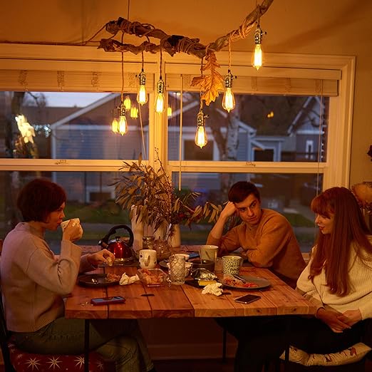 DiCUNO UL Listed Full Range Dimmer Lamp Socket Replacement, Vintage E26 Light Bulb Socket, Rotating Dimmer Switch Knob for Table, Floor Lamp, DIY Project, Gold, 150 Watt, 1-Pack