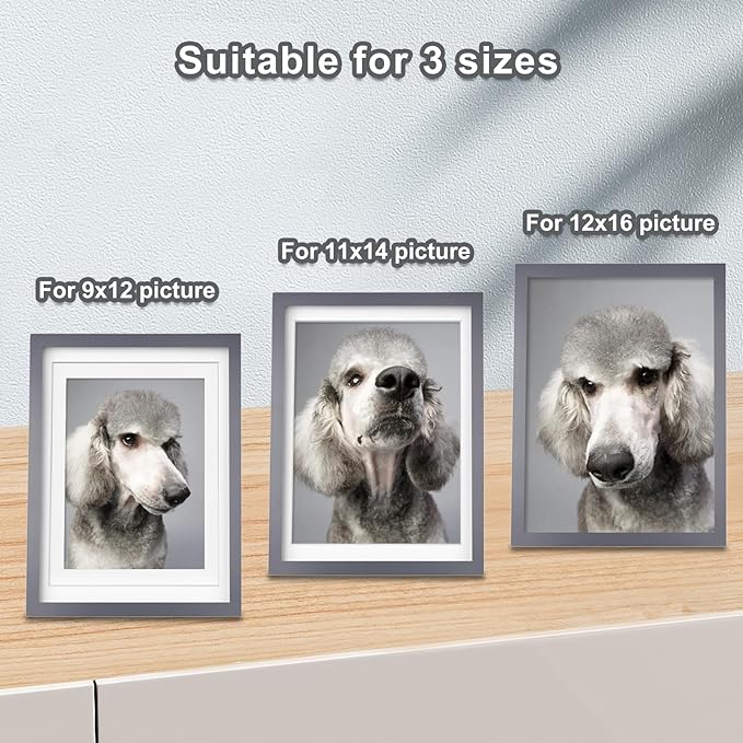 Egofine 12x16 Picture Frames with Plexiglass, Display Pictures 9x12/11x14 with Mat or 12x16 Without Mat Set of 4 for Wall Mounting,Dark Grey