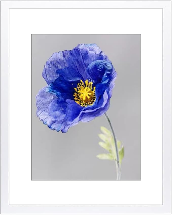 VNVNK 14x18 Frame White, Perfect for 14x18 Inch Picture without Mat or 10x14 Inch Picture with Mat, Home Wall Decor Picture Frame-1 PCS