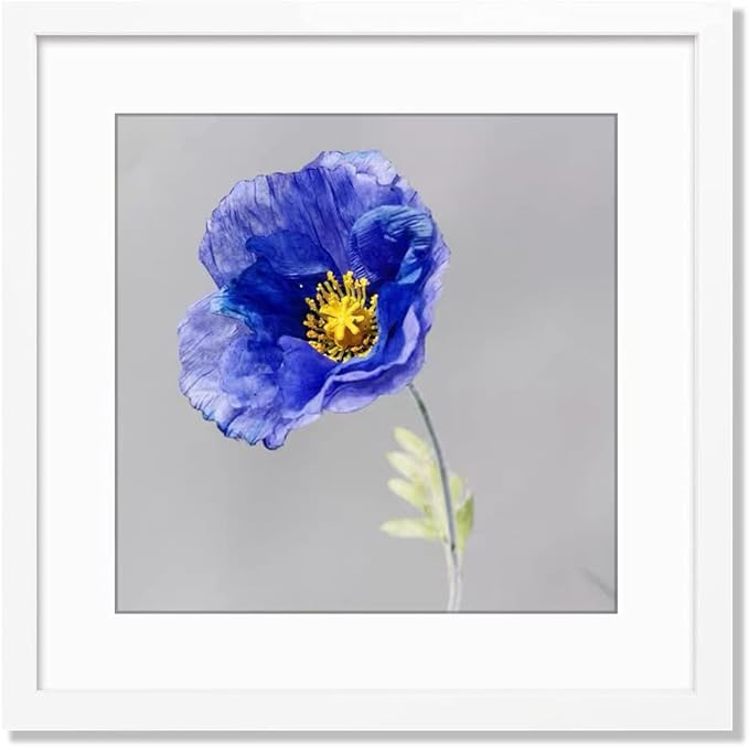 VNVNK 15x15 Frame White, Perfect for 15x15 Inch Picture without Mat or 11x11 Inch Picture with Mat, Home Wall Decor Picture Frame-1 PCS