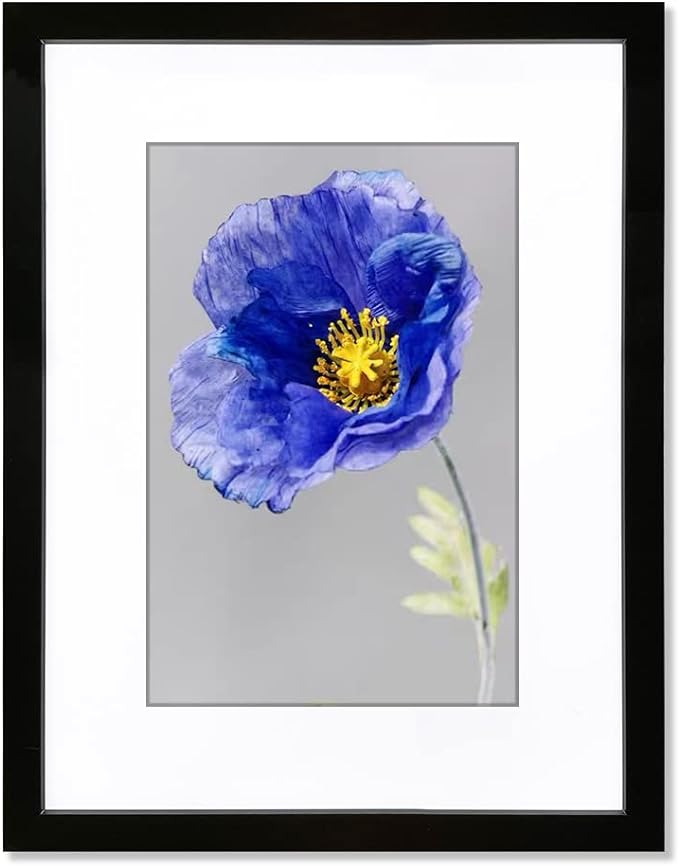 VNVNK 18x24 Frame Black Picture Frame-1 PCS, Perfect for 18x24 Inch Picture without Mat or 16x20 Inch Picture with Mat, Home Wall Decor Picture Frame