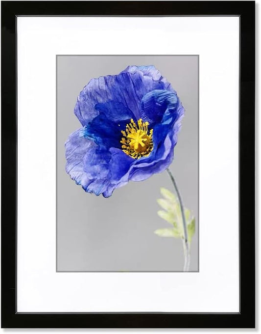 VNVNK 18x24 Frame Black Picture Frame-1 PCS, Perfect for 18x24 Inch Picture without Mat or 16x20 Inch Picture with Mat, Home Wall Decor Picture Frame