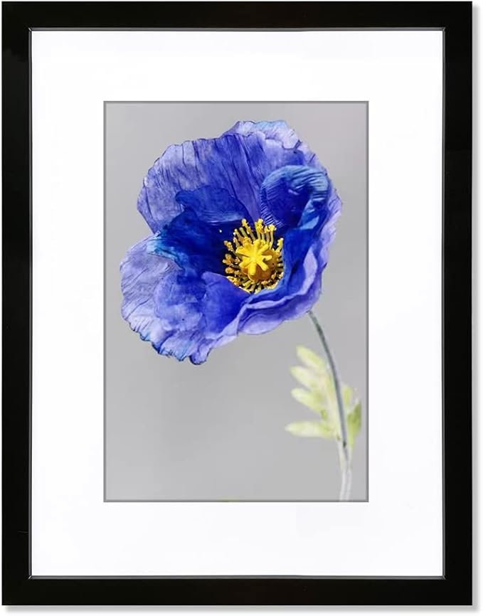 VNVNK 17x22 Frame Black, Perfect for 17x22 Inch Picture without Mat or 12x18 Inch Picture with Mat, Home Wall Decor Picture Frame-1 PCS