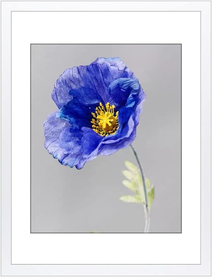 VNVNK 14x20 Frame White, Perfect for 14x20 Inch Picture without Mat or 12x16 Inch Picture with Mat, Home Wall Decor Picture Frame-1 PCS