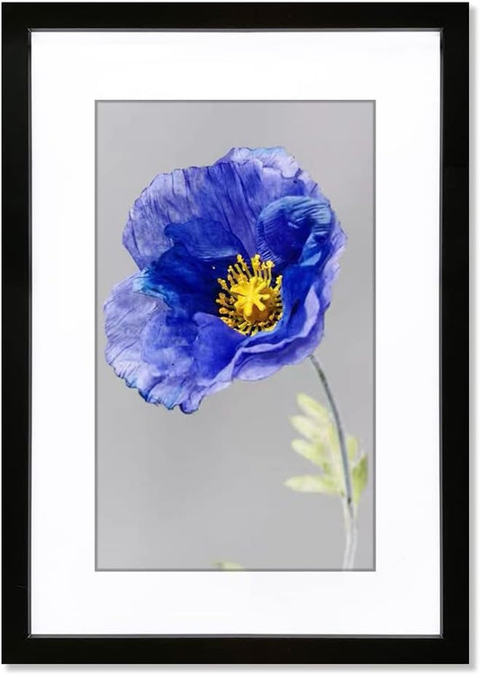VNVNK 14x22 Frame Black, Perfect for 14x22 Inch Picture without Mat or 12x18 Inch Picture with Mat, Home Wall Decor Picture Frame-1 PCS