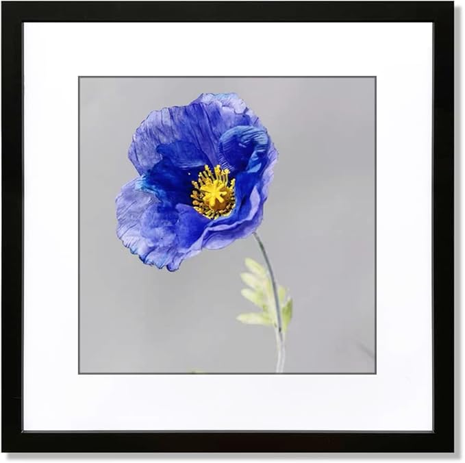 VNVNK 19x19 Frame Black, Perfect for 19x19 Inch Picture without Mat or 15x15 Inch Picture with Mat, Home Wall Decor Picture Frame-1 PCS