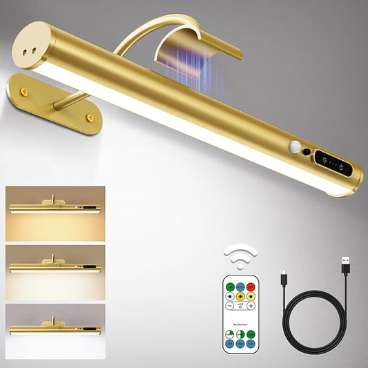Hapfish Motion Sensor Battery Operated Wall Sconce, Wireless Picture Lights for Wall, Rechargeable Magnetic Art Lighting with Remote Control, Battery Picture Light for Poster Dartboard Mirror – Gold