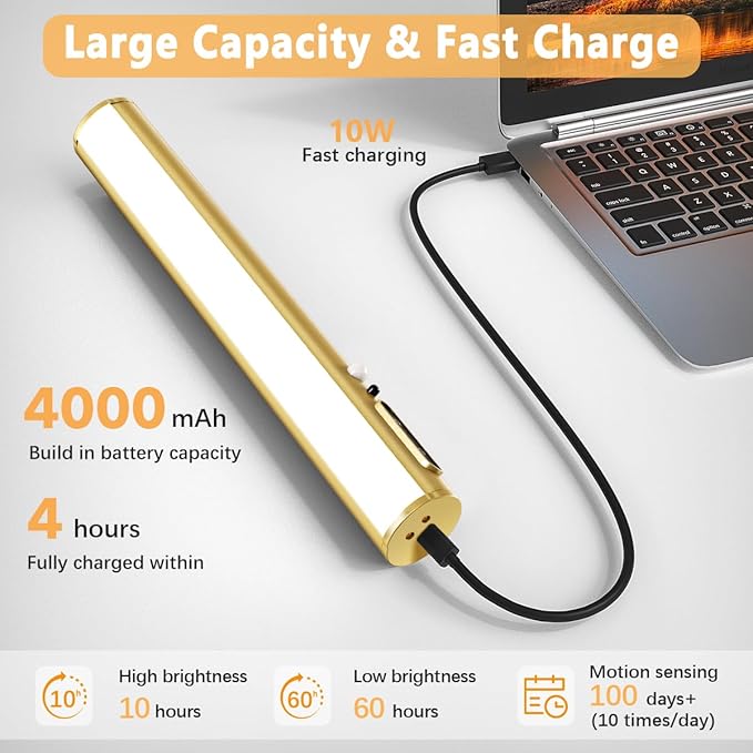 Hapfish Motion Sensor Battery Operated Wall Sconce, Wireless Picture Lights for Wall, Rechargeable Magnetic Art Lighting with Remote Control, Battery Picture Light for Poster Dartboard Mirror – Gold