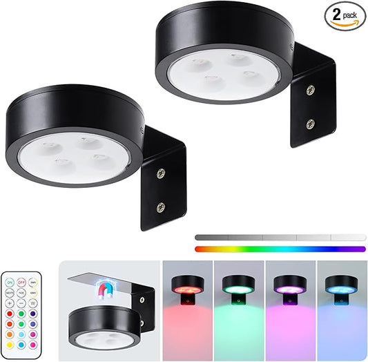 2-Pack Wireless Battery Operated Painting Light with Remote Control,13 Color RGB Magnetic Led Art Display Light for Picture Frame, Dimmable and Timer Painting Light, Wall Decor Black display light