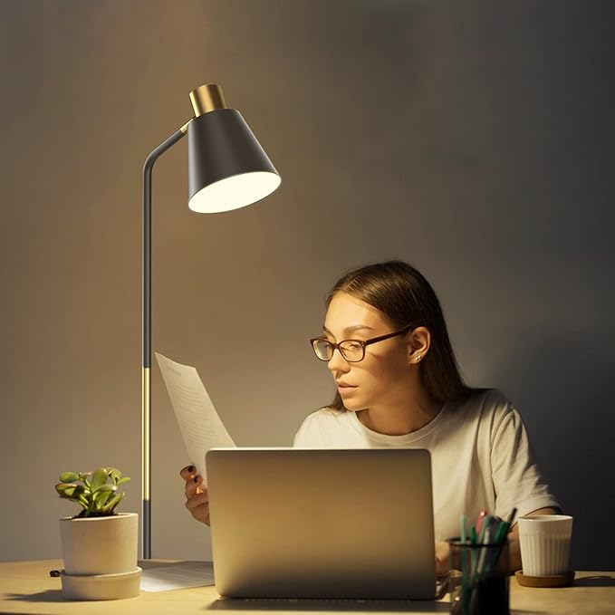 Industrial Floor Lamps for Living Rooms & Bedrooms - Rustic Farmhouse Reading Lamp - Standing, Adjustable Metal Heads Indoor Task Lighting for Living Room Bedroom Office Home Décor (Black-Large)