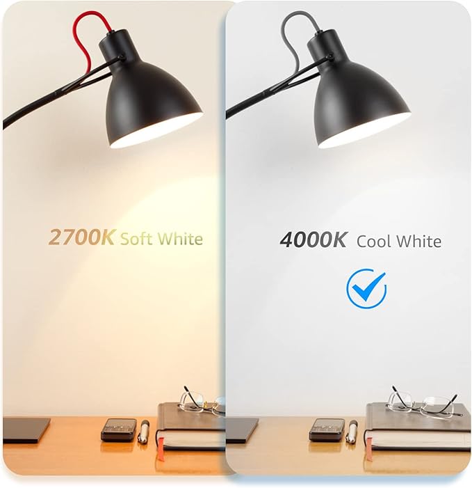 ST19 Dimmable LED Edison Bulb, 5.5W (60W Equivalent) 500LM, CRI 95+, 4000K Cool White, E26 Medium Base, Vintage Filament, Clear Glass, Standard Type A Lamp for Kitchen, Bathroom, Bedroom, 4 Pack
