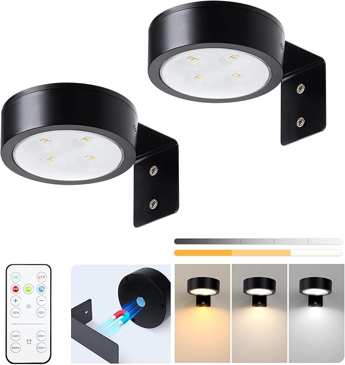 2-Pack Picture Light Battery Operated with Remote, LED Painting Lights, Dimmable and Timer Painting Light, Art Display Light for Picture Frame Artworking Portrait, Home Wall Decor Black display light