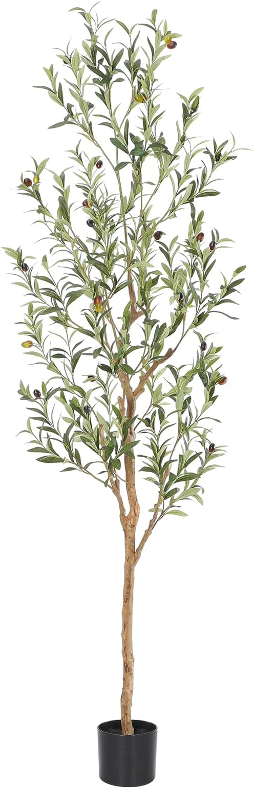 Bellacat Faux Olive Tree 6ft，Olive Trees Artificial Indoor with Natural Wood Trunk and Realistic Leaves and Fruits. 6 Feet(72in) Fake Olive Tree for Home House Office Décor.