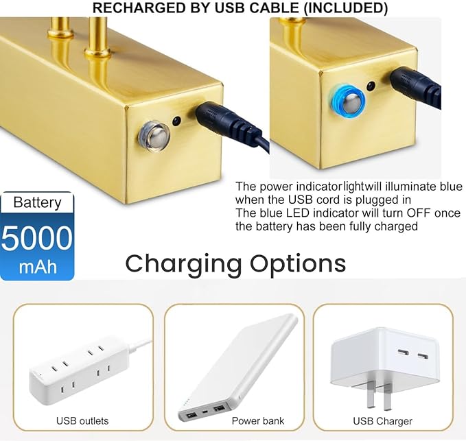 FUNCHDAY Picture Light Wireless, Rechargeable Gallery Light Battery Operated, 280LM Dimmable Art Lighting with Remote, 16" Metal Picture Lights for Wall, Paintings, Portrait, Photo (Brass)