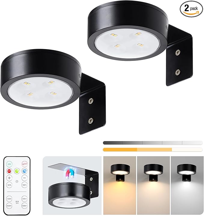 2-Pack Picture Light Battery Operated with Remote, LED Painting Lights, Dimmable and Timer Painting Light, Art Display Light for Picture Frame Artworking Portrait, Home Wall Decor Black display light
