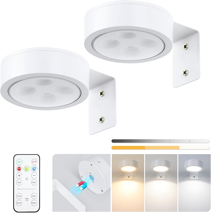 2-Pack Picture Light Battery Operated, LED Painting Lights with Remote, Dimmable and Timer Painting Light, Art Display Light for Picture Frame Artworking Portrait, Home Wall Decor wall lights, White