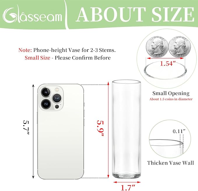 Small Cylinder Glass Vases for Centerpieces: Glasseam Clear Vase Set of 12 Modern Centerpiece Vases for Table Wedding Home Party Decor 5.9In Bud Vase for Flowers Single Stem Roses Tulips