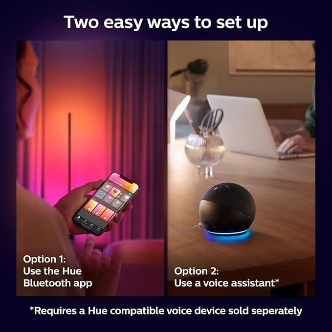 Philips Hue Signe Smart Floor Lamp, Black - White and Color Ambiance LED Color-Changing Light - 2 Pack - Control with Hue App - Compatible with Alexa, Google Assistant, and Apple Homekit