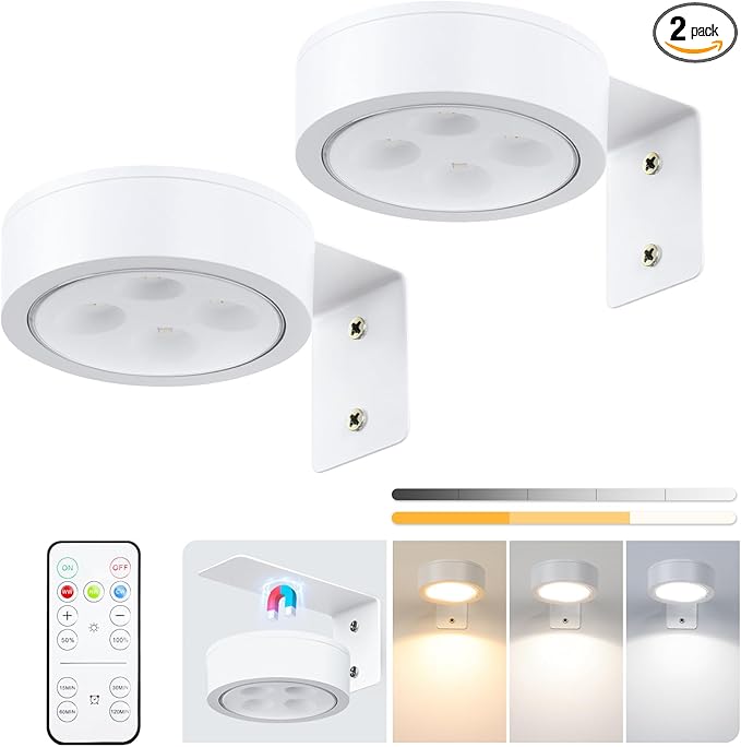 2-Pack Picture Light Battery Operated, LED Painting Lights with Remote, Dimmable and Timer Painting Light, Art Display Light for Picture Frame Artworking Portrait, Home Wall Decor wall lights, White