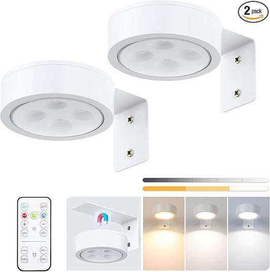 2-Pack Picture Light Battery Operated, LED Painting Lights with Remote, Dimmable and Timer Painting Light, Art Display Light for Picture Frame Artworking Portrait, Home Wall Decor wall lights, White