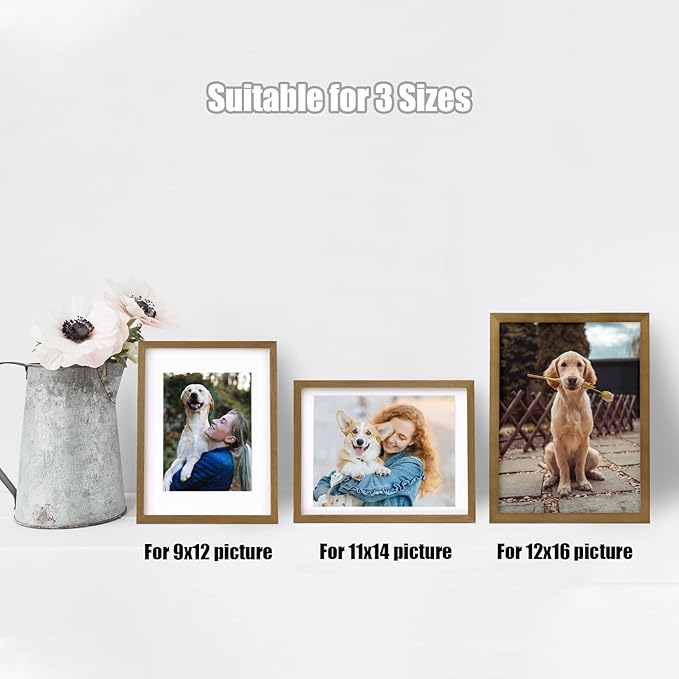 Egofine 12x16 Picture Frame with Plexiglass Made of Solid Wood, Display Pictures 9x12/11x14 with Mat or 12x16 Without Mat Set of 4 for Wall Mounting,Light Brown