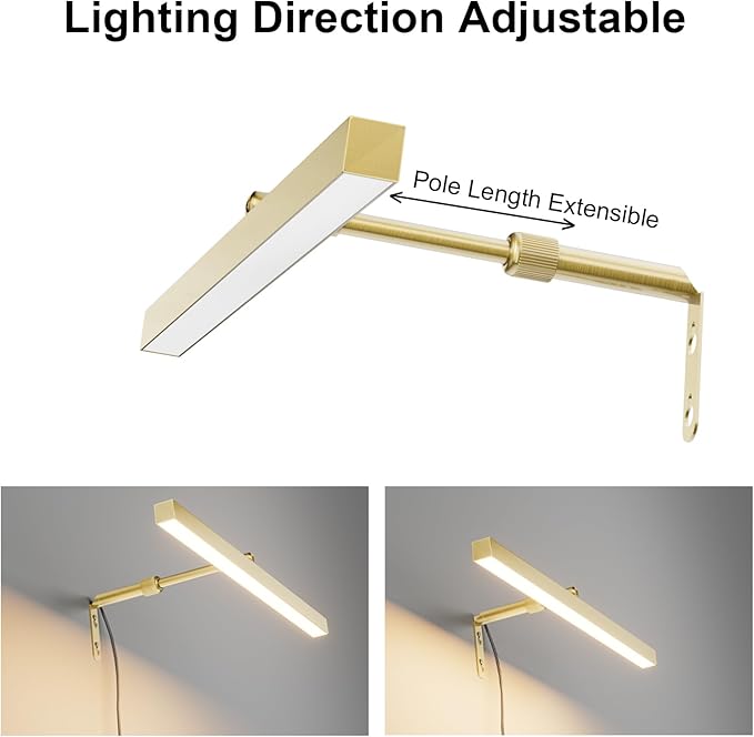 Plug in Picture Lights for Wall, 16 inch Dimmable LED Art Light with Remote, 3 Colour Temperature Gallery Painting Wall Light for Picture Display Dartboard Art Work (Gold)