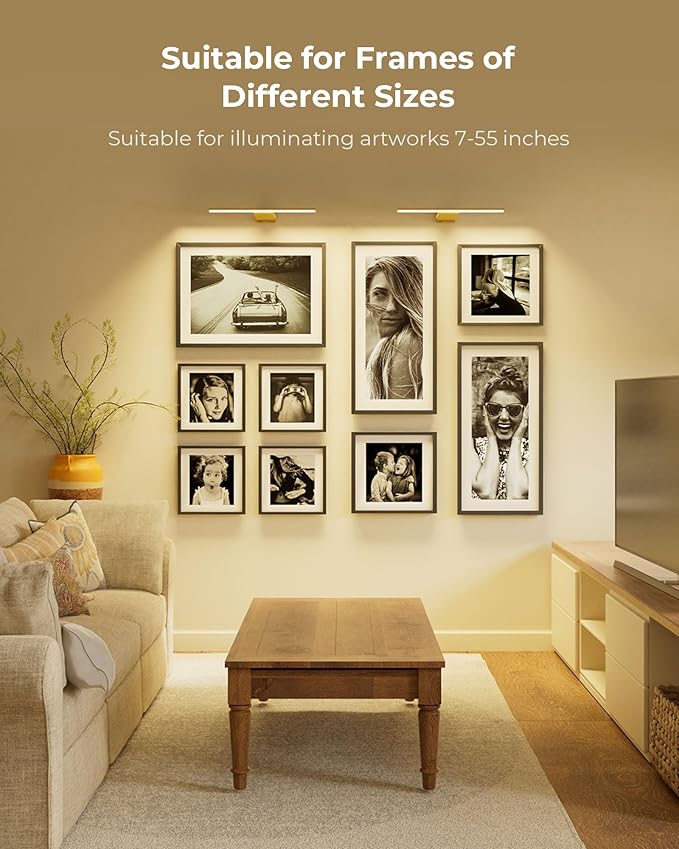 Rechargeable 12000mAh Picture Light for Wall with Remote, 3 Color Temps, Dimmable, Timer, for Gallery Poster Frame Painting Photo Art Display (Gold, 1 Pack)