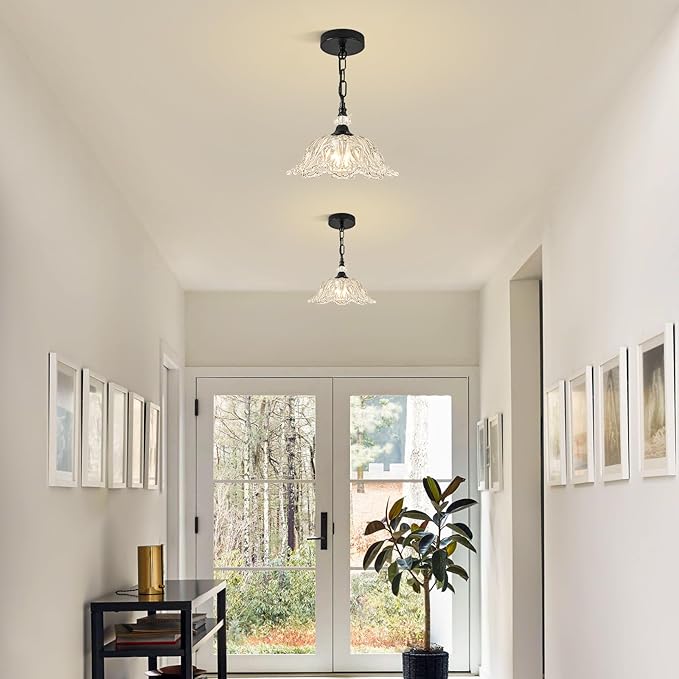 1 Piece Black Chandelier Light Fixtures with Crystal Glass Shade, Black Farmhouse Pendant Light,Hanging Light for Dining Room,Hallway,Living Room,Bedroom