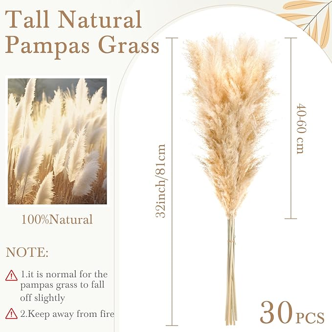 30 Stems 32 Inch Fluffy Pampas Grass Decor Tall Natural Dried Flowers Bouquet for Boho Home Decorations, Large Phragmites for Floor Vase, Wedding Floral Arrangements, Farmhouse