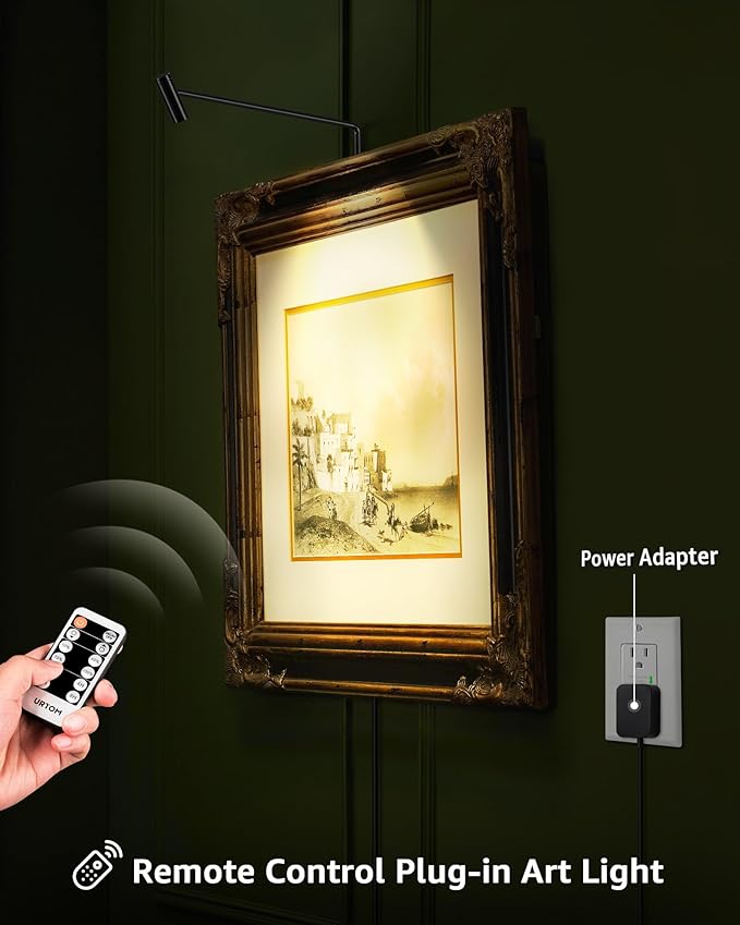 LED Picture Light Plug in 120V Art Light with Remote & Timer, Dimmable Picture Frame Light for Paintings, 3000K CRI 90 Picture Lights for Wall Display Portrait Gallery, Brass Body Painted Black