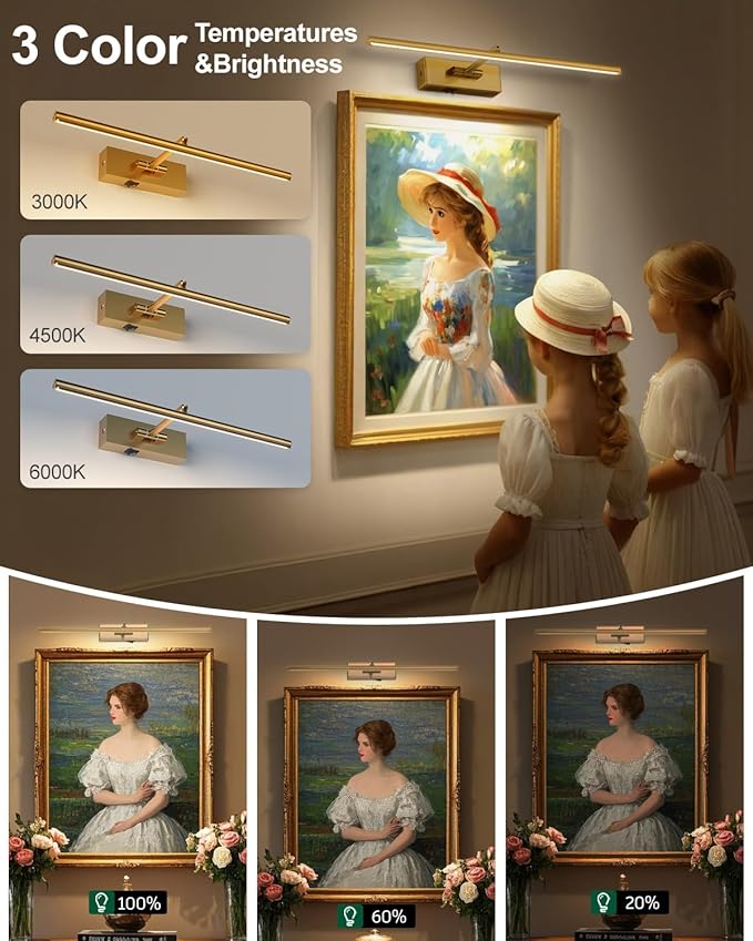 Battery Operated Picture Light with Wireless Remote 3CCT Dimmable Gold Wall Art Lights for Paintings 3 Color Rechargeable cordless decor Gallery Light 20’‘ Artwork Lighting for Canvas Timer Function