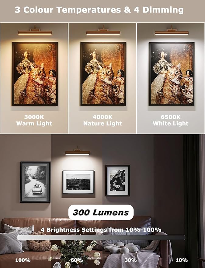 Picture Light Battery Operated, 13in Wireless Art Light for Paintings, Dimmable 5000mAh Recharging Battery Picture Light with Remote Control for Wall, Gallery Dartboard (Orange Copper -2Pack)