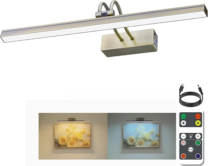 FUNCHDAY Wireless Picture Light, 2 Colors Wall Lights for Pictures Frame, 5000mAh Rechargeable Battery Art Lighting for Paintings, Dimming Timing Gallery Artwork Light (Antique Brass)