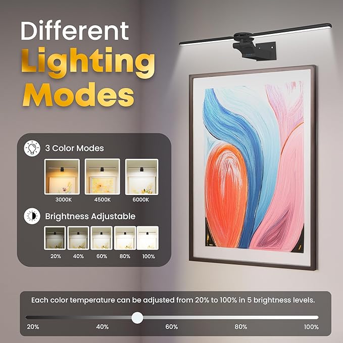 2 Pack Picture Light for Wall, 18in Rechargeable Wall Art Light with Timer and Dimmable, Painting Frame Light with Remote Control Display for Wall Painting, Frame, Portrait, Dartboard (Black)