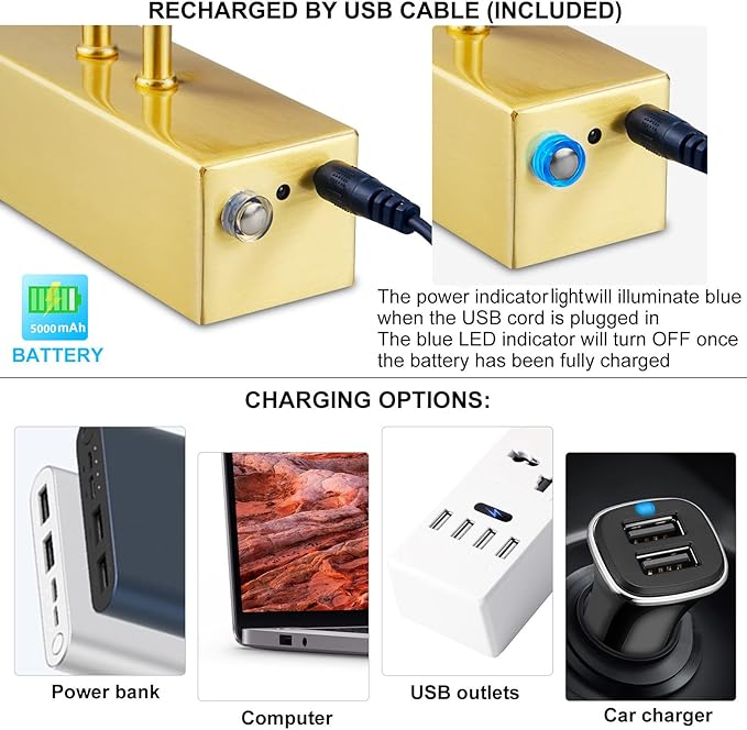 FUNCHDAY Picture Light Wireless, 13inch Rechargeable Battery Operated Gallery Painting Light with Remote, 280LM Dimmable Metal Art Lights for Paintings,Wall,Portrait (Brass)