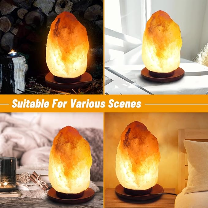 2 Pack Salt Lamp Cord Replacement with 2 Pack Wooden Tray and 8 Pack 15 Watts E12 Halogen Salt Lamp Bulbs