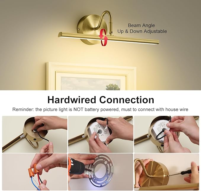 Picture Lights for Wall 16.5" 2PCS Hardwired LED Wall Lights with Remote, CCT Dimmable Art Poster Photo Light for Portrait Painting Artwork, Room Decor, 15W, 2700K-6500K, 1200LM, Brass