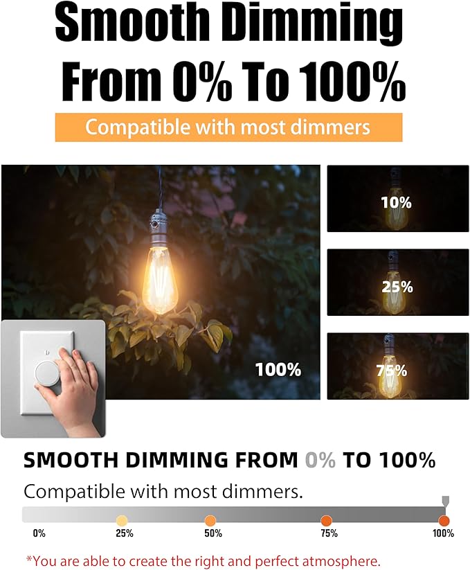 Lumiverse Edison Bulbs 60W Equivalent, Dimmable LED Light Bulbs, CRI 90+, Vintage E26 Lightbulbs, 2700K Warm White, ST19 ST58, 5.5W, Antique Clear Glass, 6 Pack