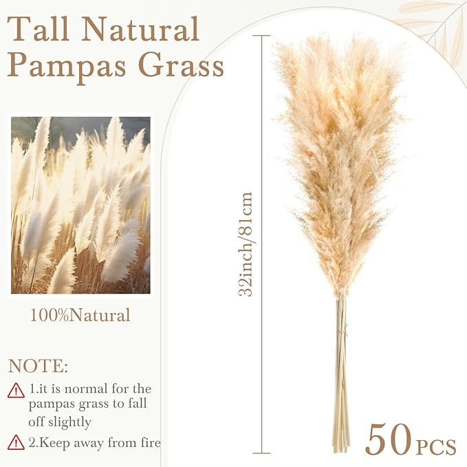 50 Stems 32 Inch Fluffy Pampas Grass Decor Tall Natural Dried Flowers Bouquet for Boho Home Decorations, Large Phragmites for Floor Vase, Wedding Floral Arrangements, Farmhouse