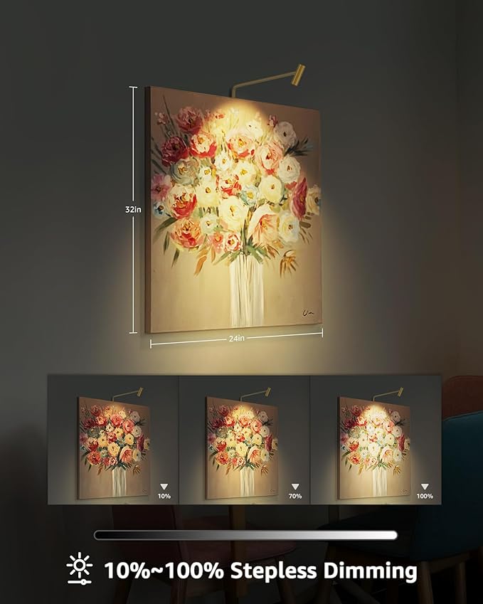 Brass Picture Light Plug in LED Picture Lights for Wall 3000K Warm White Picture Frame Light with Remote Control & Timer Dimmable Picture Lights Art Lighting for Paintings Wall Display Gallery