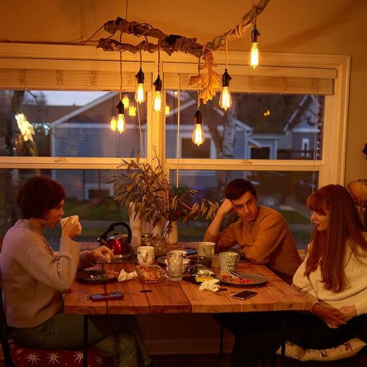 DiCUNO UL Listed Full Range Dimmer Lamp Socket Replacement, Vintage E26 Light Bulb Socket, Rotating Dimmer Switch Knob for Table, Floor Lamp, DIY Project, Black, 60 Watt, 2-Pack