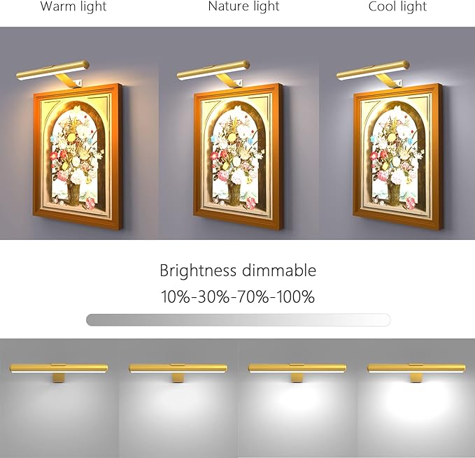 Gold Wireless Led Picture Light with Remote Control - Rechargeable Battery, Metal Art Display Accent Light, 300LM, Dimmable for Gallery, Dartboard