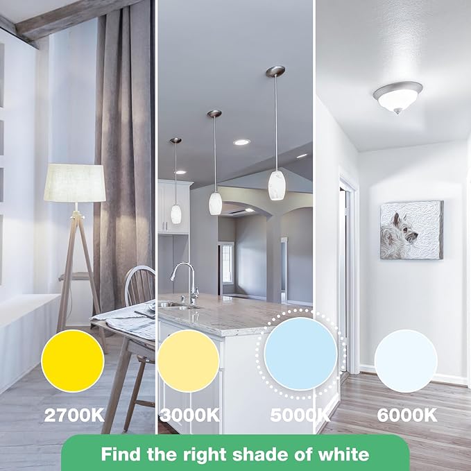 48 Pack LED Light Bulbs 100 Watt Equivalent, A19 5000K Daylight, 1500 Lumens, E26 Base, Non-Dimmable, 13 Watt Energy Efficient LED Bulbs for Home Lighting