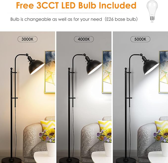 Industrial Floor Lamp, 3 Color Temperature Rustic Floor Lamps in Aged Bronze, Adjustable Height&Head Standing Reading Lamp Farmhouse Lamp