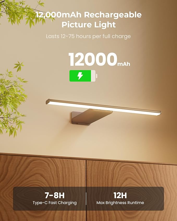 Rechargeable 12000mAh Picture Lights for Wall with Remote, 3 Color Temps, Dimmable, Timer, for Gallery Poster Frame Painting Photo Art Display (Black, 2 Pack)