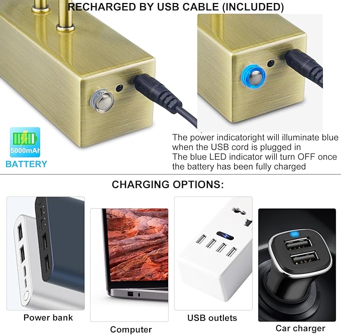 FUNCHDAY Picture Light, Wireless Rechargeable Gallery Lights with Remote, 280LM 48 LED Dimmable Painting Lighting, 16in Battery Operated Art Lights for Paintings,Wall Artwork (Antique Brass)