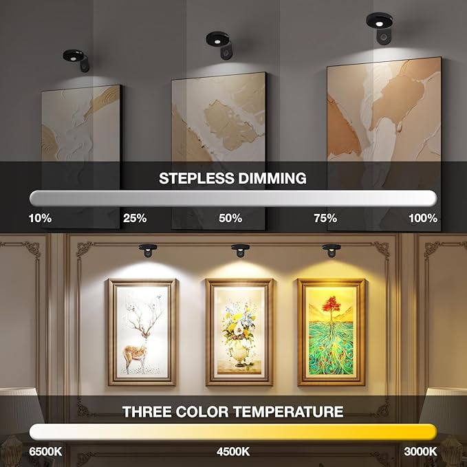 Picture Lights for Wall Wireless with Magnetic,2000mAh Rechargeable Picture Frame lights with Dimmable,Puck Lights with Remote Control,Art Lighting for Paintings,Counter, Shelf,Bookcase(4 Pack,Black)