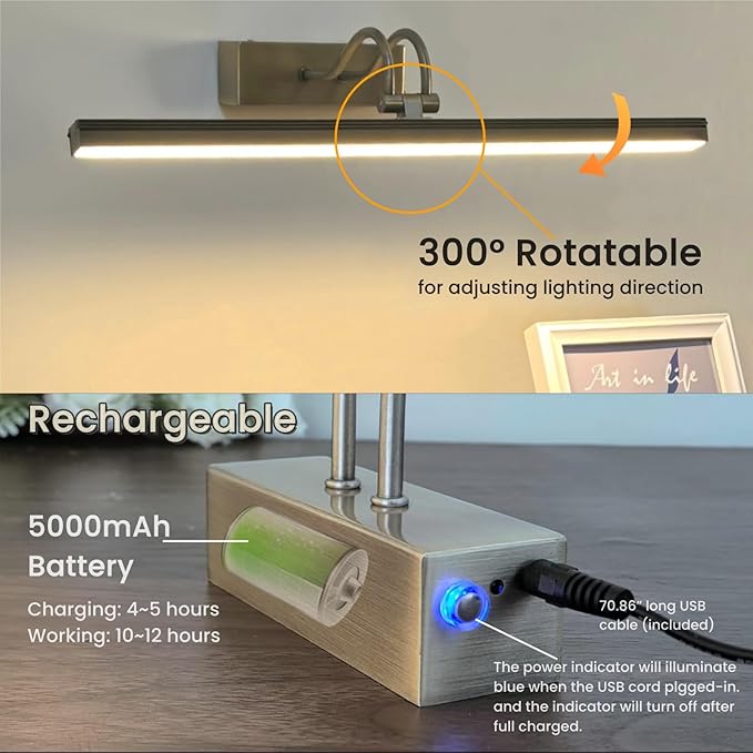 FUNCHDAY Wireless Picture Light, 2 Colors Wall Lights for Pictures Frame, 5000mAh Rechargeable Battery Art Lighting for Paintings, Dimming Timing Gallery Artwork Light (Antique Brass)