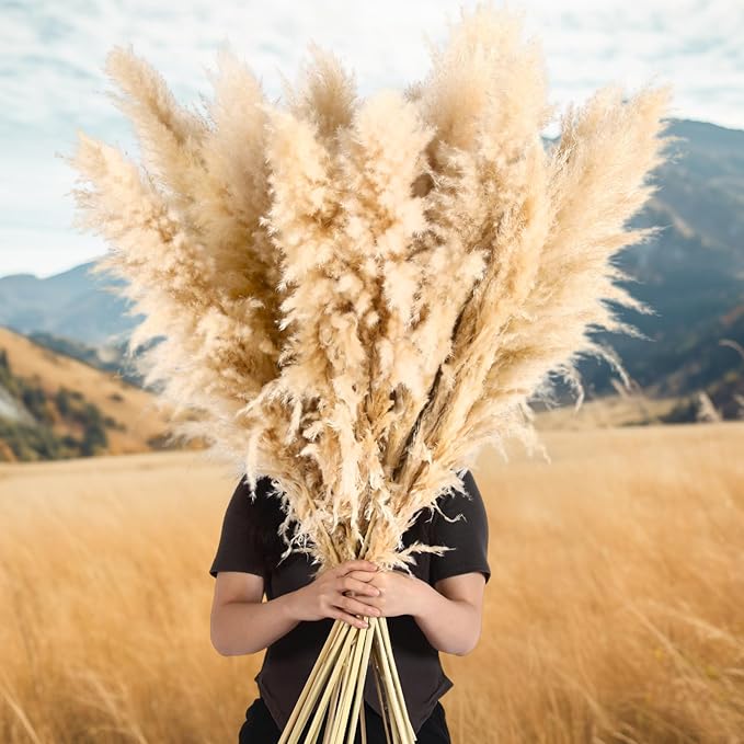 50 Stems 32 Inch Fluffy Pampas Grass Decor Tall Natural Dried Flowers Bouquet for Boho Home Decorations, Large Phragmites for Floor Vase, Wedding Floral Arrangements, Farmhouse